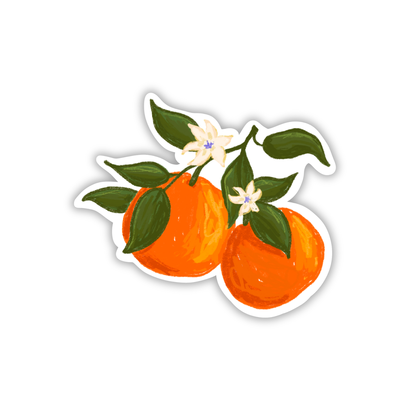 Oranges Die-Cut Sticker